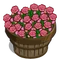 Pink Roses Bushel-icon