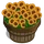 Sunflowers Bushel-icon