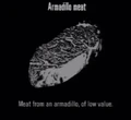 Animals Armadillo Meat.jpg