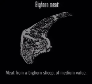 Animals Bighorn Meat