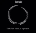 Animals Boar Tusks.jpg