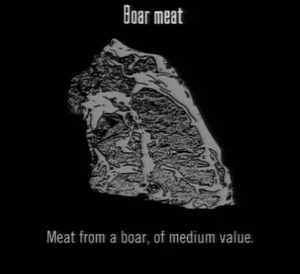 Animals Boar Meat