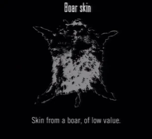 Animals Boar Skin