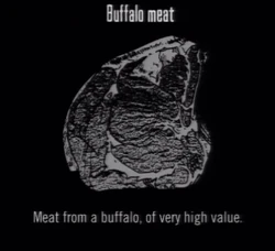 Animals Buffalo Meat