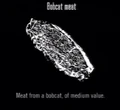 Animals Bobcat Meat.jpg
