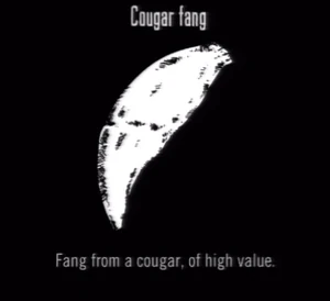 Animals Cougar Fang
