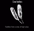 Animals Crow Feathers.jpg