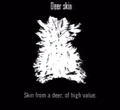 Animals Deer Skin.jpg