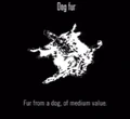 Animals Dog Fur.jpg