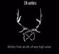 Animals Elk Antlers.jpg