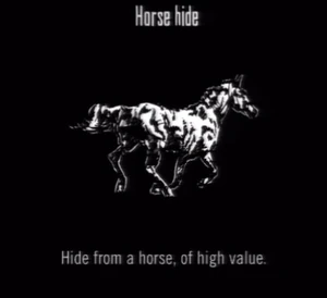Animals Horse Hide