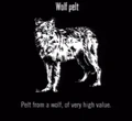 Animals Wolf Pelt.jpg