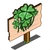 Clover