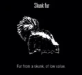 Animals Skunk Fur.jpg