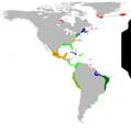 1526 - Americas.png