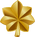 US-O4 insignia