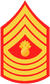 USMC-E9-MGyS