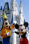 A2976538 43808828MickeyandGoofy