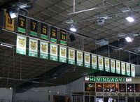 Ilves banners