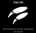 Animals Brumas Teeth.jpg