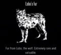 Animals Lobo Fur.jpg