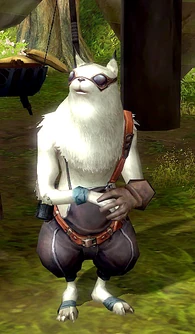 Baevrunerk