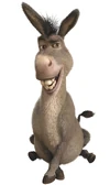 Donkeyprofile