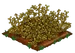 Goji Berry withered