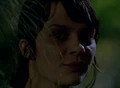 Portal-DianeOther.png