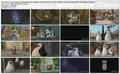 Pics-Operation DVD2.jpg