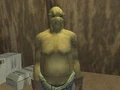 Nikto