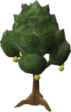 Lemon tree