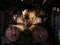 Hog's Head WWoHP