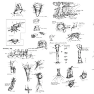 Envir sketches4