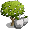 Image:White Apple Tree-icon.png