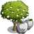 White Apple Tree-icon.png