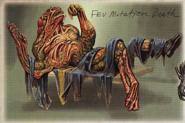 FEVCA.jpg