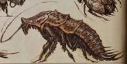 RadroachCA