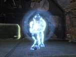 A Sangheili's Shields