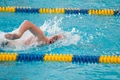 Blackman 20100306 0939.jpg