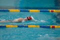 Blackman 20100306 0856.jpg
