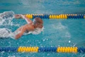 Blackman 20100306 0819.jpg
