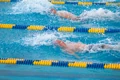 Blackman 20100306 0746.jpg