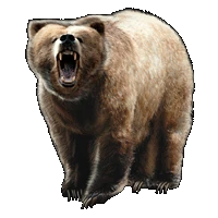 Huge item GrizzlyBear 01.gif