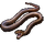 Item InlandTaipan 01