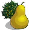Pear Tree-icon.png