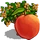 Peach Tree-icon.png