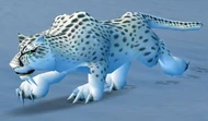 Snow Leopard