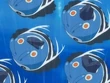 EP581 Mantyke
