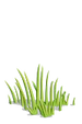 Grass-icon.png